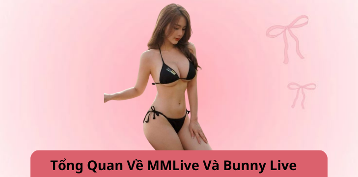 Tổng Quan Về MMLive Và Bunny Live
