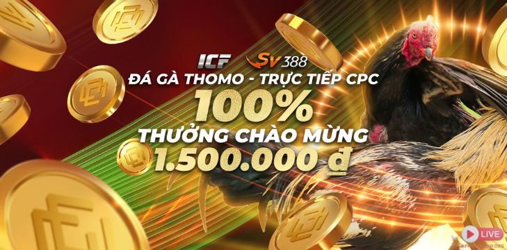 Mẹo Tối Ưu Trải Nghiệm Cá Cược Tại MCW77